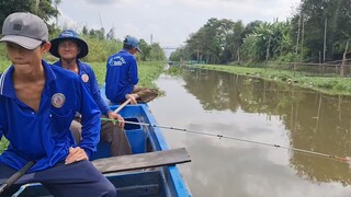 Cá Tra Kho Mía Ăn Với Cải Thìa Xào Tỏi.Góc Làng Quê