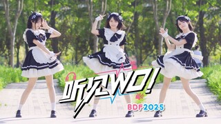 【紫夜】出战BDF2025！全曲一镜到底听见WO！【BDF2025】