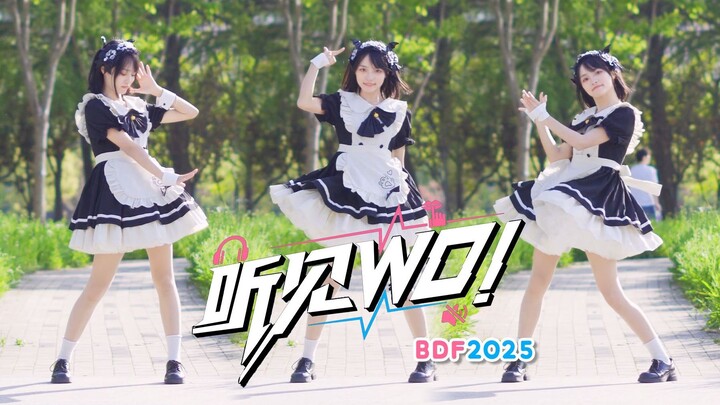 【紫夜】出战BDF2025！全曲一镜到底听见WO！【BDF2025】