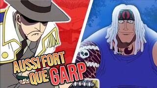 10 PERSONNAGES OUBLIÉS mais INCROYABLES (One Piece)