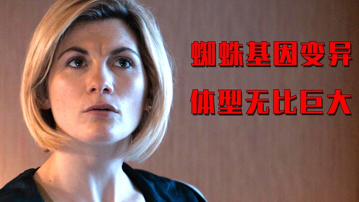 Laba-laba memakan sampah buatan manusia, mengalami mutasi genetik, dan menjadikan manusia sebagai ke