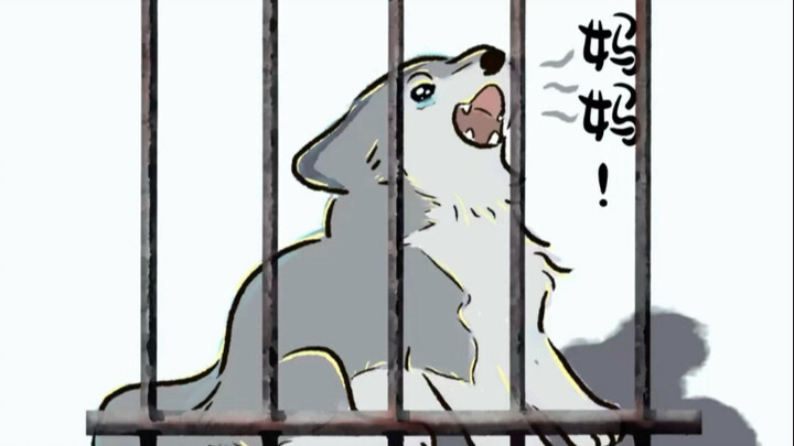 After being missing for over 500 days, the dog finally reunites with its owner, bursting into tears 