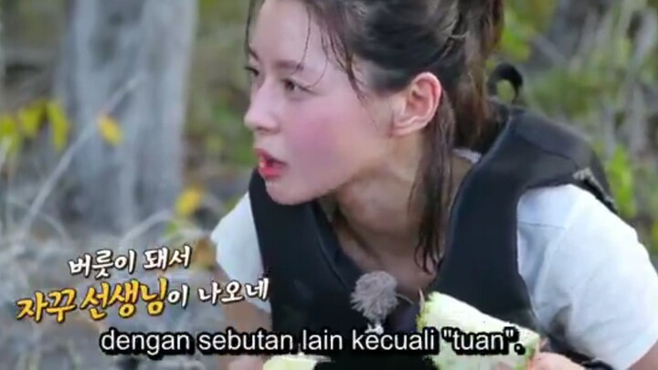 law of the jungle timor leste ep 1 sub indo