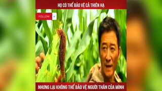 Có thể bảo vệ cả thiên hạ, nhưng không thể bảo vệ được người thân