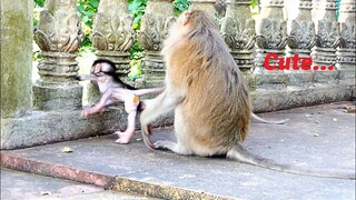 Adorable And Skinny Mommy Teva Provides Warmly To Tiny Baby Bean While Barry Stays Far