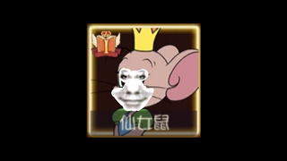 猫猫别回头，我是仙女鼠😎