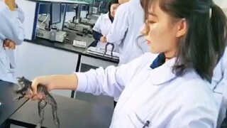 Video này mới được gọi là nữ sinh y khoa!