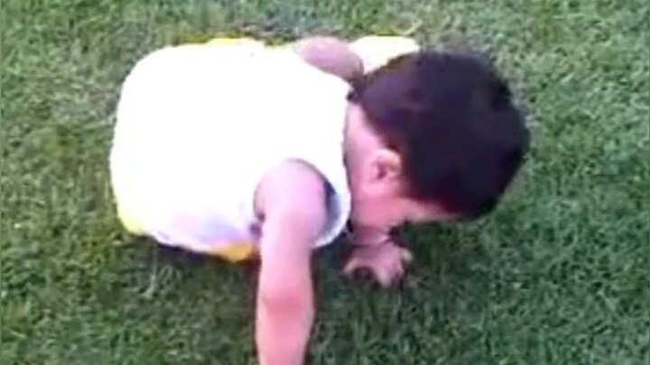 เดินในสนามหญ้า