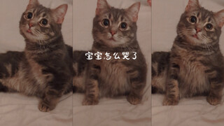 宝宝，你怎么哭啦🥹