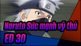 Naruto,Sức,mạnh,vỹ,thú,ED30