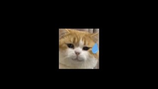 [Comics/novels] Can you please care about the feelings of the victims when you redeem your sins?