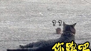 Jerry: Bạn để những món ăn nóng ở đâu?