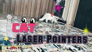 Laser chaser | Cat Vlog #10