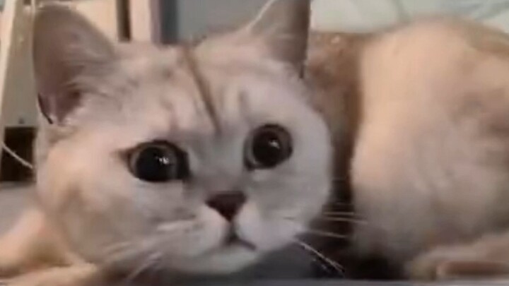 It scared me so much at the very beginning, hahaha!