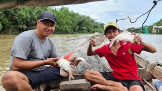 Cá mè to không. Cá út hấp cơm, nước mắm bần - Bin Đen Miền Tây # 282