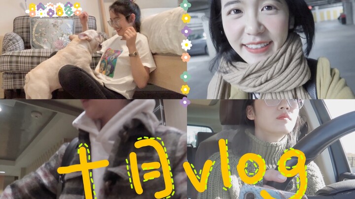 Kehidupan sehari-hari bersama keluarga setelah pulang ke tanah air | Belajar membuat orang bahagia |