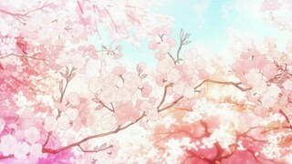 Your Lie in April [MAD] Chiru | Saisei no Uta