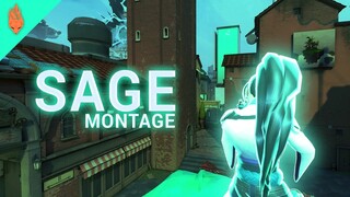 BUTTERFLY 🦋 | SAGE MONTAGE