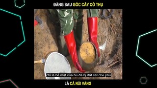 Thanh niên lên núi chặt củi, kiếm được cả núi vàng dưới gốc cây và cái kết | LT Movie