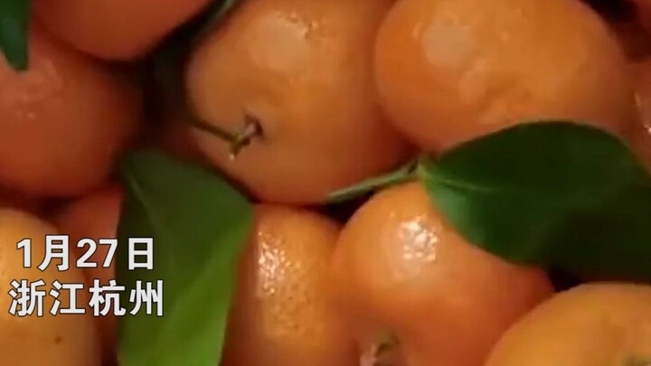 Daughter sneaks a sugar mandarin, stages a perfect crime scene—Dad picks it up and is dumbfounded!