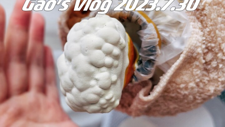 Menanam jamur di rumah 7.0! Menyelamatkan garis rambut dengan Ganoderma!!