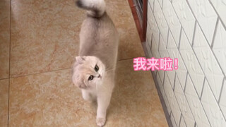 今天带焦糖妹妹出去玩