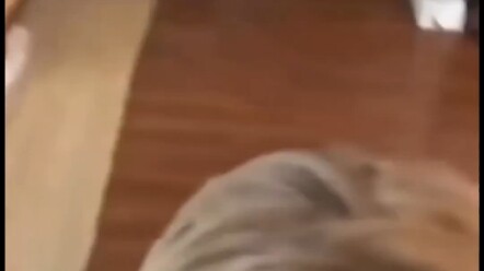 “Đại Tiêu Khách Hoang Dã”