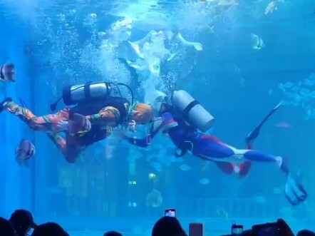 Tăng Tiểu Hiền: Tử Kiều, nói ra có khi cậu không tin đâu: Tớ vừa thấy Ultraman đeo bình oxy lặn dưới