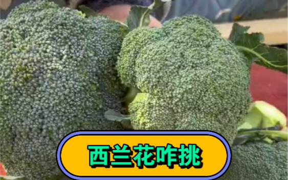 Northeast Morning Market Potato Brother Reveals: The Ultimate Guide to Picking Broccoli at the Morni