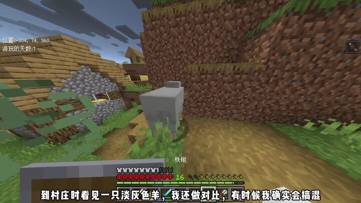 สองตัวแกะสีชมพู โชคดีแค่ไหนกันนะ?