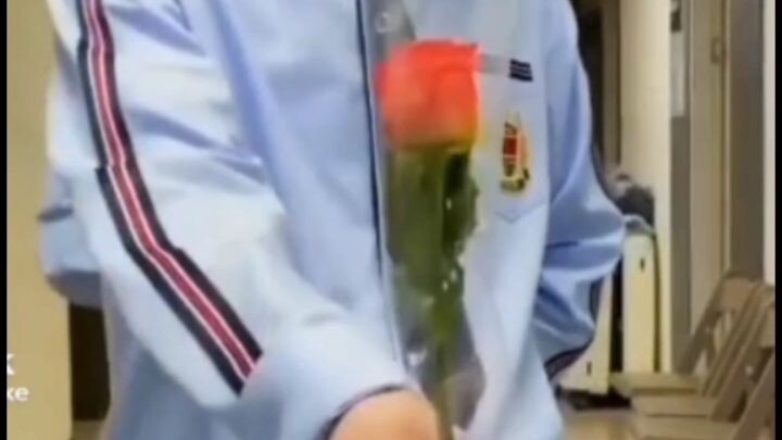 imagine heesung sunoo and Niki giving you a flowers and ask you to be his valentine's date 🌹