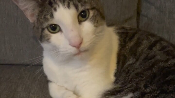 It’s not going to kill me, is it?