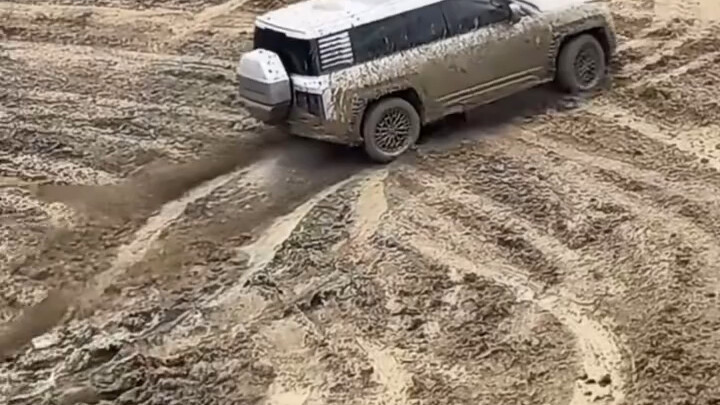 Looking Up: No Rescue Needed