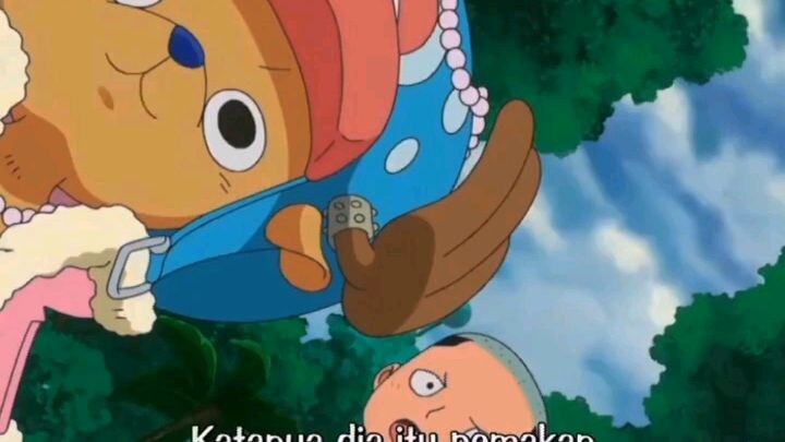 cuma robin yg ngerti jalan otak luffy🤣