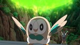 Film dan Drama|Pokemon-Ayo Saksikan Trik Z di Wilayah Alola