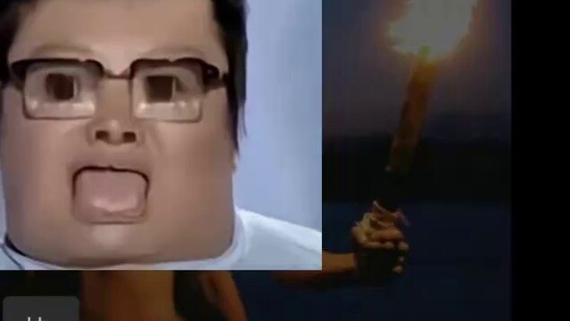 "About the fact that my mother brought that home as a cat teaser"