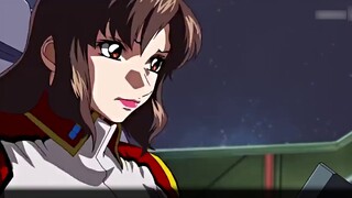 "Mobile Suit Gundam SEED" Kebebasan dan Duel, jangan berkelahi lagi, tolong beri aku wajah dan katak