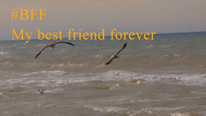 #Minha BFF My best friend forever - Minha melhor para sempre