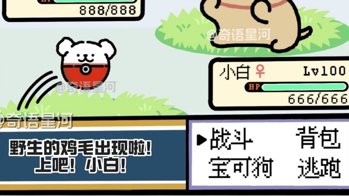Teater anak anjing garis—koleksi Pokédog