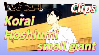 [Haikyuu!!]  Clips | Korai Hoshiumi, small giant