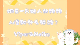 【فيكو】 كيف تُرى تجربة امتلاك كلبٍ مُلتصِقٍ بشدة؟