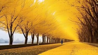places on earth