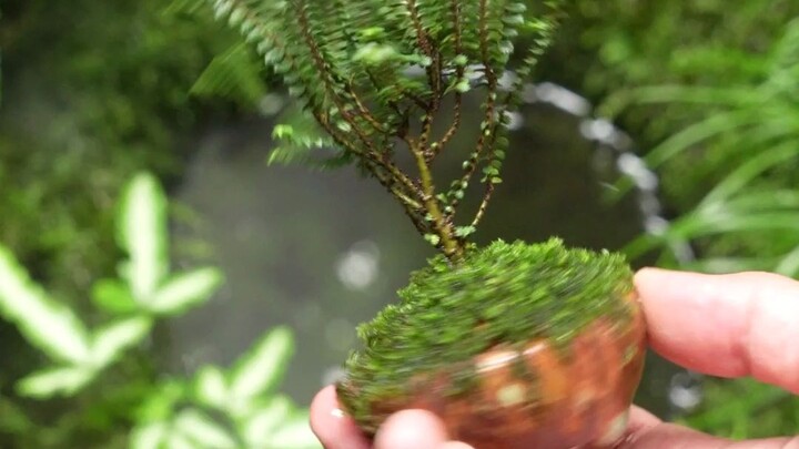 วิธีรดน้ำให้เจ้าตัวเล็กอย่างรวดเร็ว