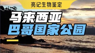 Mỗi người yêu thiên nhiên đều sẽ bước ra khỏi Công viên Quốc gia Pago với nụ cười trên môi