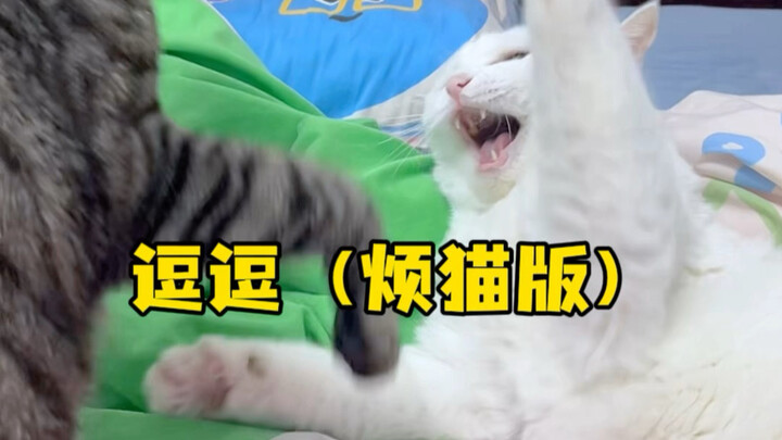 Versi kucing nakal Doudou