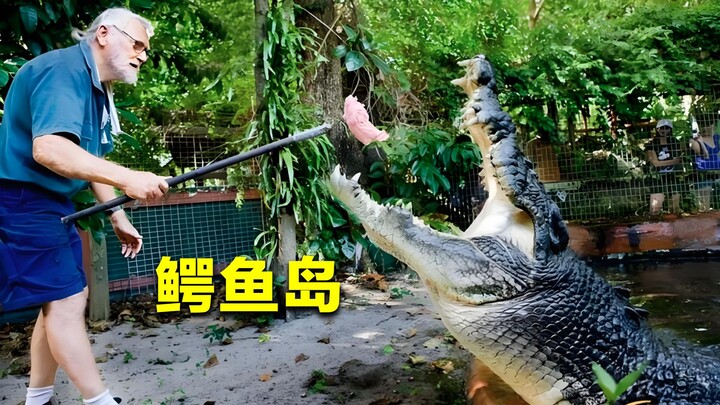 “Đảo Cá Sấu” ở Myanmar, đảo Langri rốt cuộc đáng sợ đến mức nào? Có tới 200 nghìn con cá sấu sát nhâ