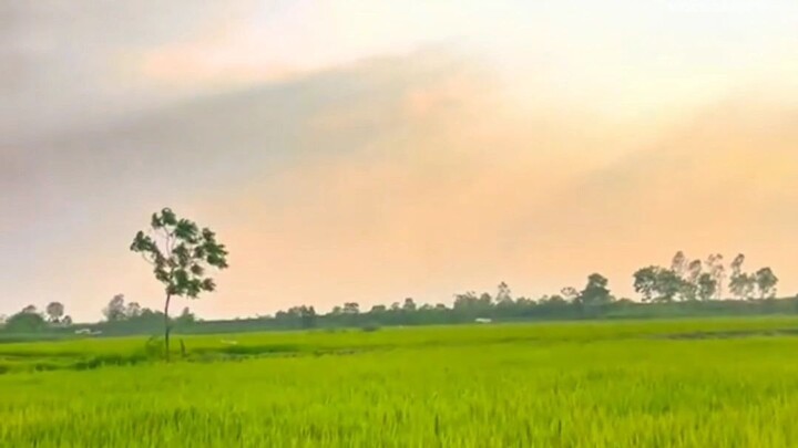 terimakasih atas segalanya