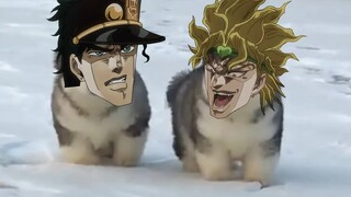 JOJO的猫猫冒险