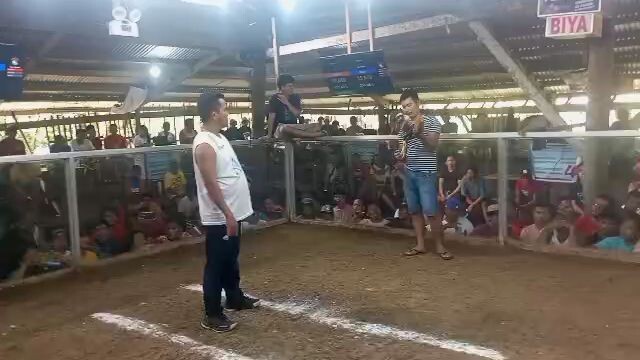 1st fight 2 win ulatan dom win 👋👋👋
