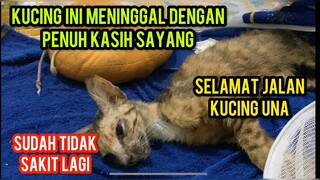 Innalillahi Wa Inna Ilaihi Rojiun Kucing Una Meninggal Dunia..!